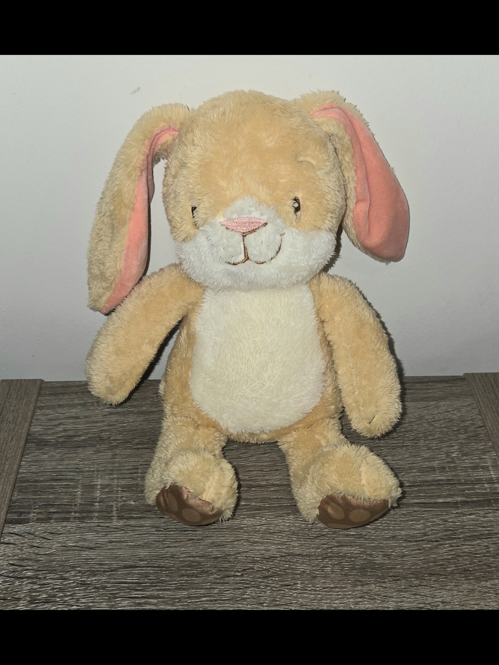 Kohl’s Cares Somebunny Loves You! Plush Bunny Rabbit Stuffed 11"